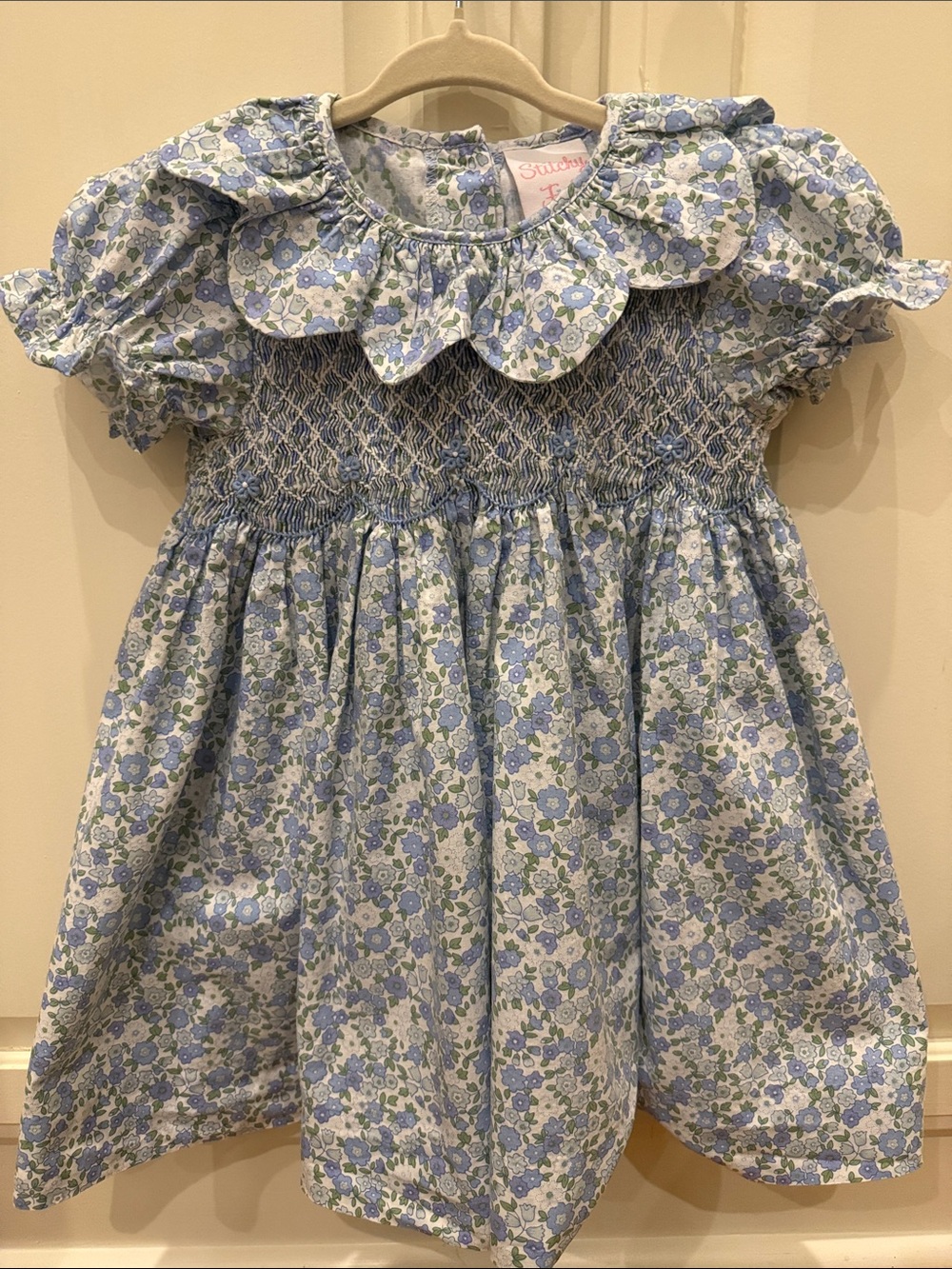 Blue Floral Smocked Girls Dress with Petal Collar